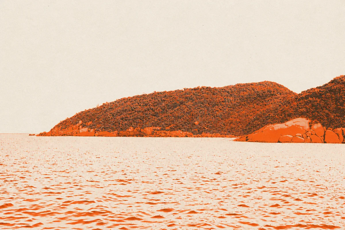 Ilha do Arvoredo