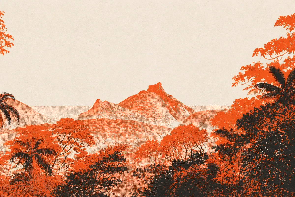 Floresta da Tijuca