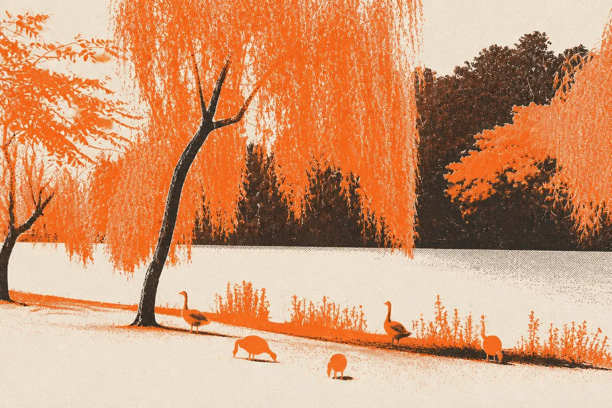 Lago do Ibirapuera