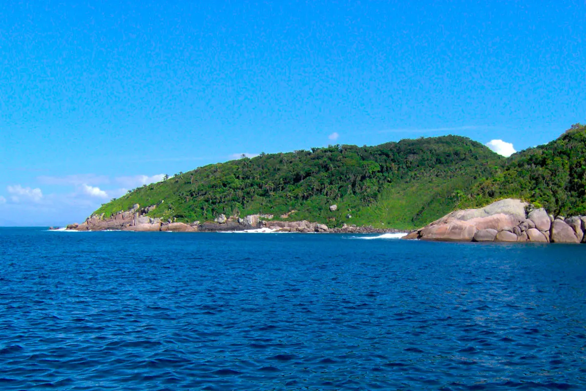 Ilha do Arvoredo, atração para visitar em Florianópolis