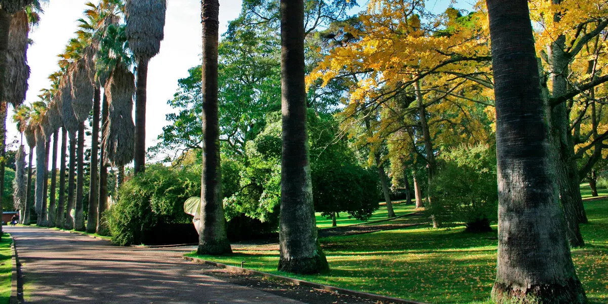 Jardim Botânico Tropical, atração para visitar em Lisboa