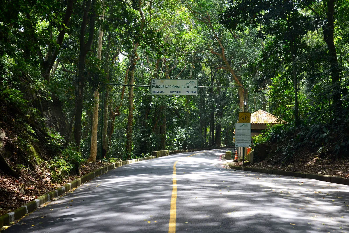 Floresta da Tijuca, localizado em Rio de Janeiro