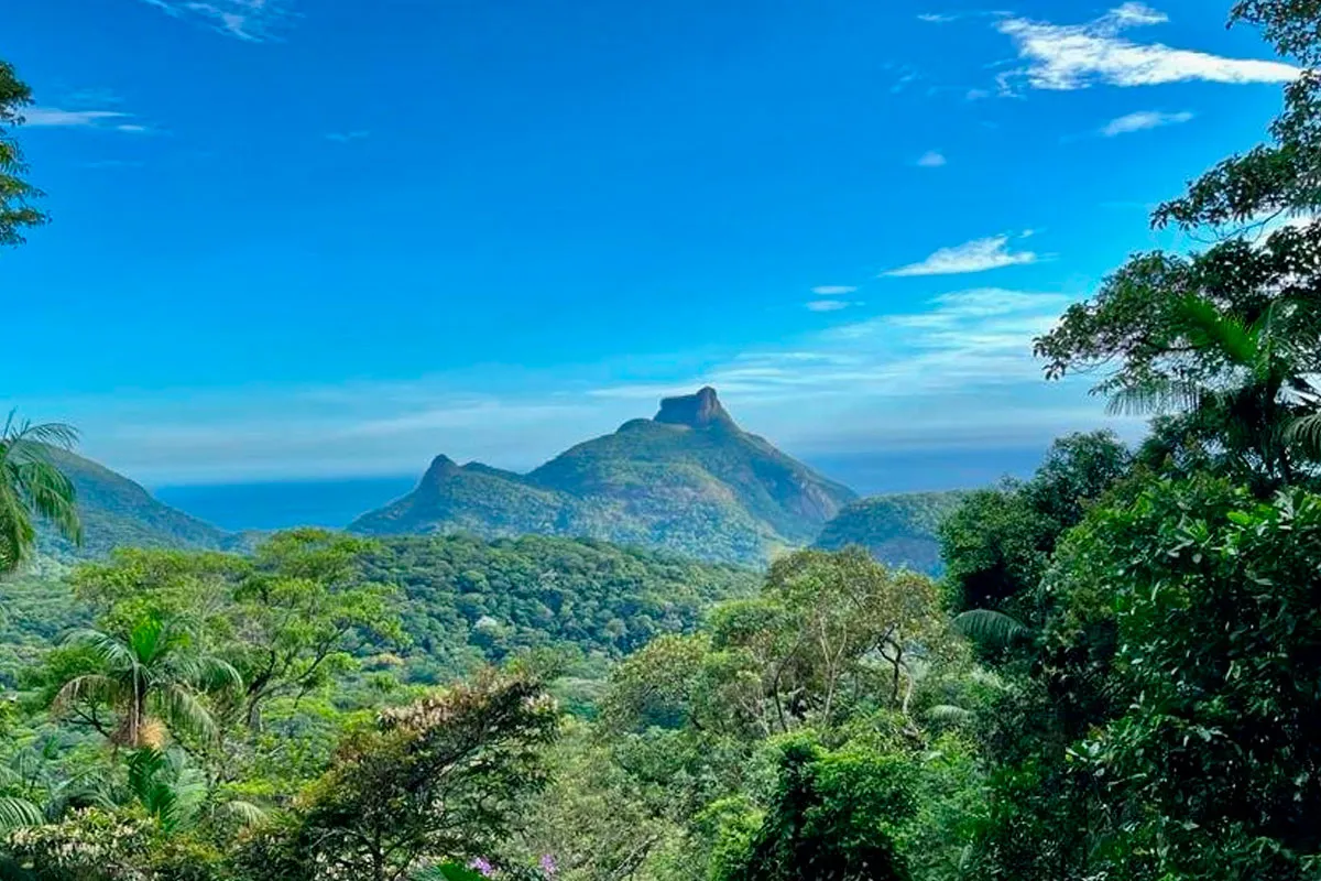 Floresta da Tijuca, atração para visitar em Rio de Janeiro