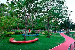 Parque da Cidade de Salvador