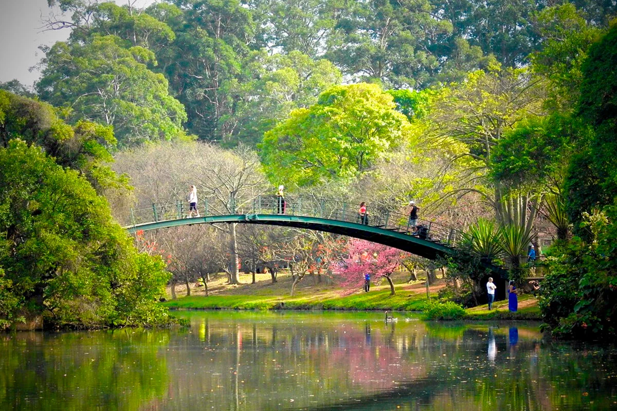 Ponte sobre o Lago do Ibirapuera