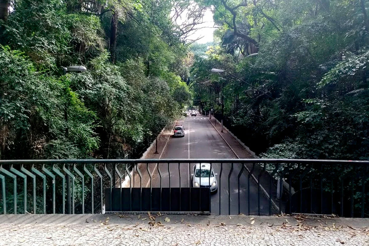 Vista da Alameda Santos a partir da ponte suspensa do Parque Trianon